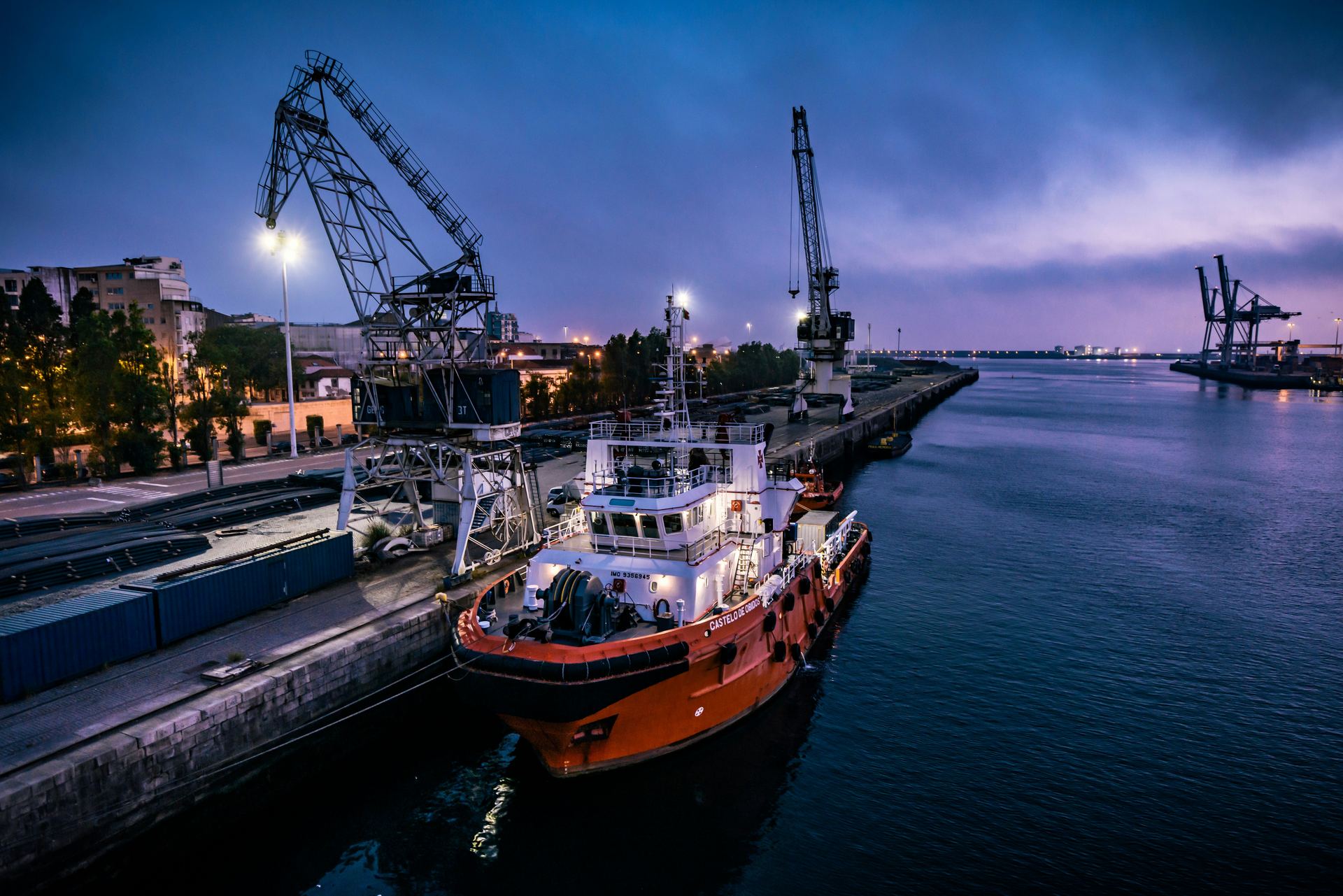 Marine port with cargo ships